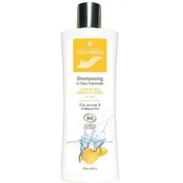 Montbrun Champu Cabello Seco Con Agua Termal 250Ml. Bio