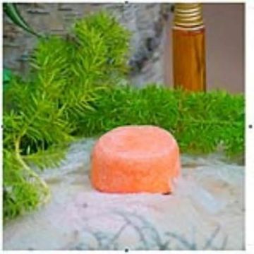 Nitx Champu Solido Volumen 85Gr.