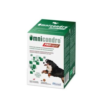 Omnicondro Prorapid, 60 Comprimidos