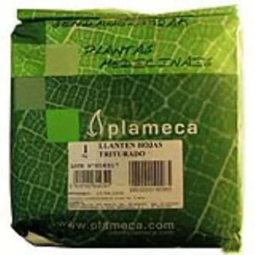 Plameca Hierba Llanten Hoja Triturada 1Kg