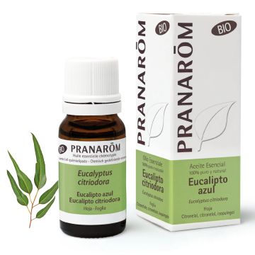 Pranarom Aceite Esencial Quimitipado Eucalipto Azul BIO Músculos yArticulaciones 100% Puro y Natural  10 ml