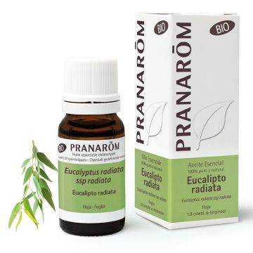 Pranarom Aceite Esencial Eucalipto Radiata BIO 10 ml