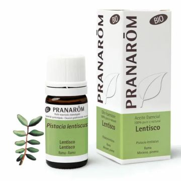 Pranarôm Lentisco Rama BIO 5 ml