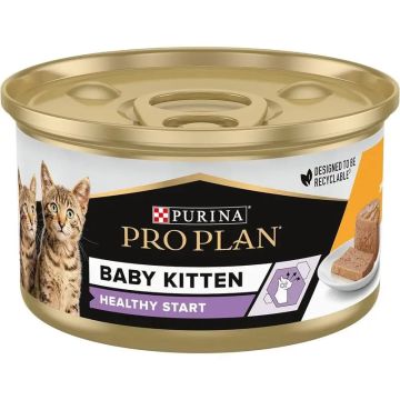 Purina Pro Plan Feline Baby Kitten Mousse Pollo 24X85Gr, comida húmeda paragatos