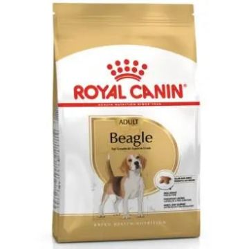 Royal Canin Adult Beagle 12Kg, pienso para perros