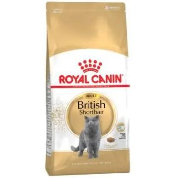 Royal Canin Adult British Shorthair 2Kg, pienso para gatos