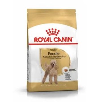 Royal Canin Adult Caniche 1,5Kg, pienso para perros