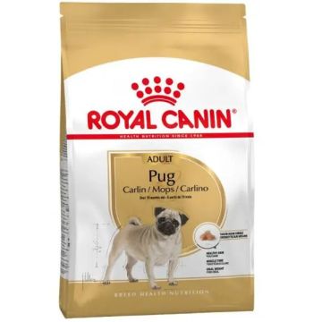 Royal Canin Adult Carlino 1,5Kg, pienso para perros
