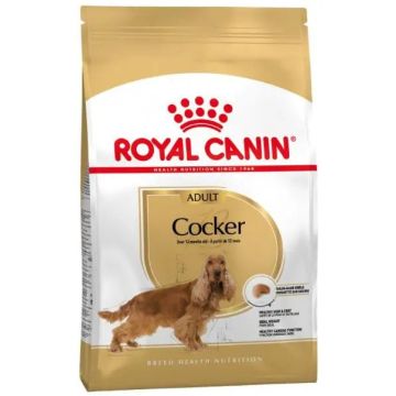 Royal Canin Adult Cocker 12Kg, pienso para perros