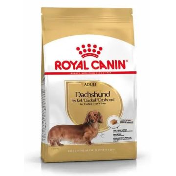 Royal Canin Adult Dachshund 1,5Kg, pienso para perros