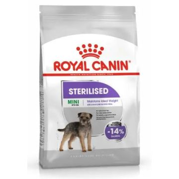 Royal Canin Adult Esterilizado Mini 3Kg, pienso para perros