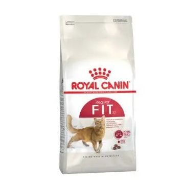 Royal Canin Adult Fit 10Kg, pienso para gatos