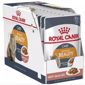 Royal Canin Adult Intense Beauty Pouch Gelatina Caja 12X85G, comida húmeda paragatos