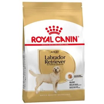 Royal Canin Adult Labrador Retriever 3Kg, pienso para perros