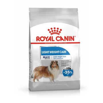Royal Canin Adult Light Weight Care Maxi 12Kg, pienso para perros
