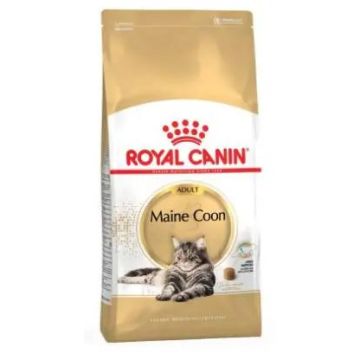 Royal Canin Adult Maine Coon 4Kg, pienso para gatos