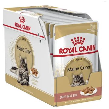 Royal Canin Adult Maine Coon Pouch Caja 12X85Gr, comida húmeda para gatos