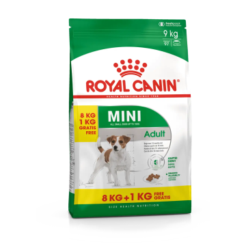 Royal Canin Adult Protein Exigent 2Kg, pienso para gatos