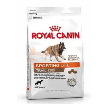 Royal Canin Adult Sporting Life Trail 4300 15Kg, pienso para perros