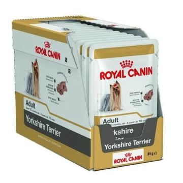 Royal Canin Adult Yorkshire Pouch Caja 12X85Gr, comida húmeda para perros