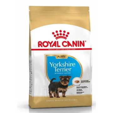 Royal Canin Adult Yorkshire Terrier Junior 1,5Kg, pienso para perros