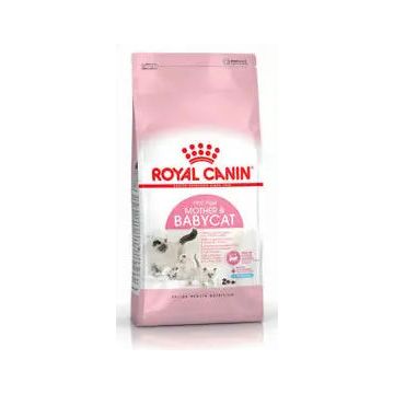 Royal Canin Babycat 2Kg, pienso para gatos