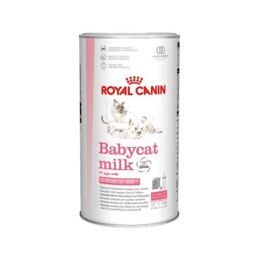 Royal Canin Babycat Milk 1St Age 300Gr , leche maternizada para gatitos