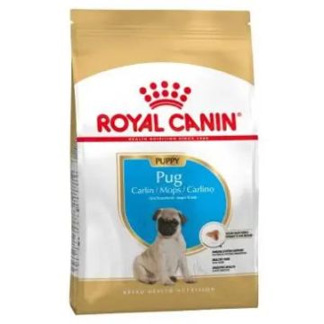 Royal Canin Junior Carlino 1,5Kg, pienso para perros