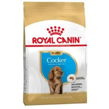Royal Canin Junior Cocker 3Kg, pienso para perros