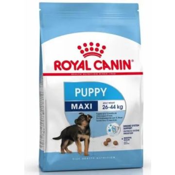 Royal Canin Junior Maxi 15Kg, pienso para perros