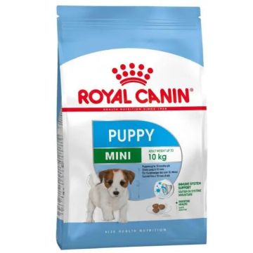 Royal Canin Junior Mini 8Kg, pienso para perros
