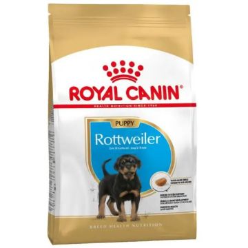 Royal Canin Junior Rottweiler 12Kg, pienso para perros