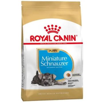 Royal Canin Junior Schnauzer Miniature 1,5Kg, pienso para perros