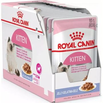 Royal Canin Kitten Sterilised Pouch Gelatina Caja 12X85Gr, comida húmeda paragatos