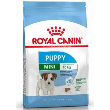 Royal Canin Puppy Mini 800Gr, pienso para perros