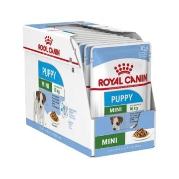Royal Canin Puppy Mini Pouch Caja 12X85Gr, comida húmeda para perros