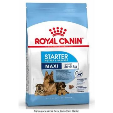 Royal Canin Starter Maxi 15Kg, pienso para perros
