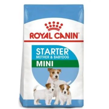 Royal Canin Starter Mini 1Kg, pienso para perros