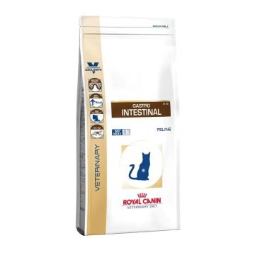 Royal Canin Veterinary Gastro Intestinal 4Kg, pienso para gatos
