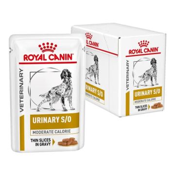 Royal Canin Veterinary Urinary S/O Moderate Calorie Caja 12X100Gr, comida húmedapara perros