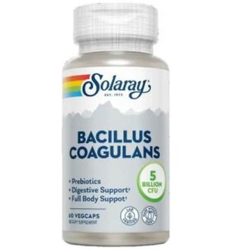 Solaray Bacillus Coagulans 60 Cápsulasveg