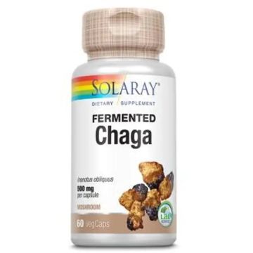 Solaray Chaga Fermented 500Mg 60V Cápsulas