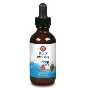 Solaray Vegetarian B12 1000Mcg. 53Ml.
