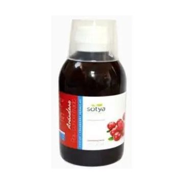 Sotya Arándano Rojo Concentrado 250 ml
