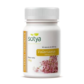 Sotya Valeriana, 60 Perlas