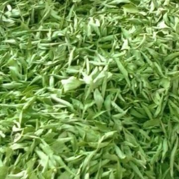 Stevia Del Hoja Entera De Stevia Eco  500 gr