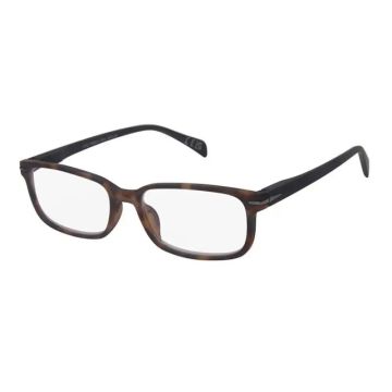 Surgicalmed Euro Optics Gafas De Lectura Para Presbicia Duna (Marrón OscuroMate, Patillas Negras Y Decoración En Gris Oscuro) (+3.00)