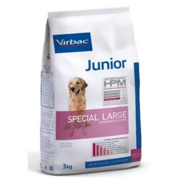 Virbac Hpm Canine Junior Large Special 12Kg, pienso para perros